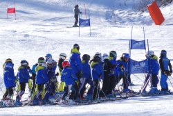 DD Orino 2016