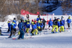 DD Orino 2016