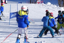 DD Orino 2016