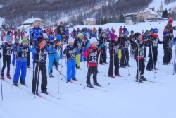 DD Orino 2016
