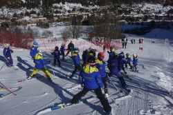 DD Orino 2016